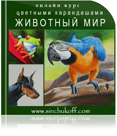 Курс Рисуем цветными карандашами Животный мир