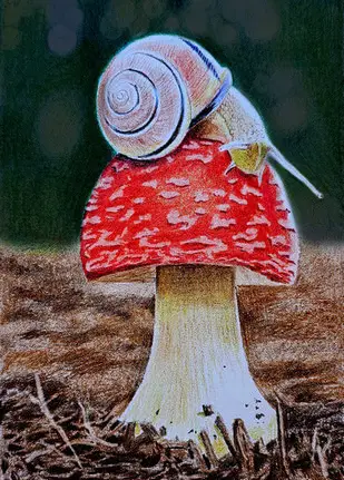 рисунок улитки цветными карандашами