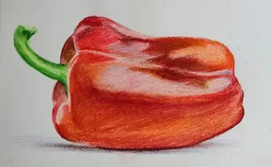 рисование красного перца цветными карандашами