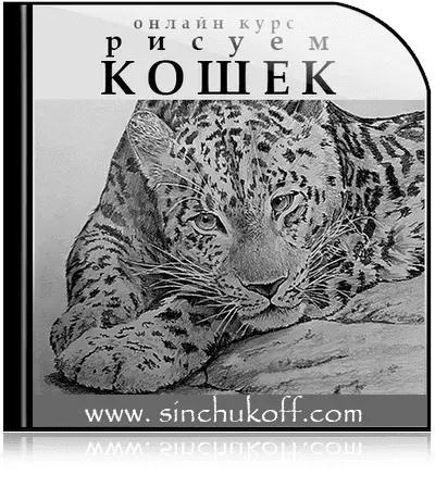 курс "Как рисовать кошек"
