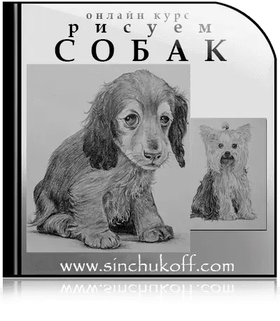 курс "Как рисовать собак"