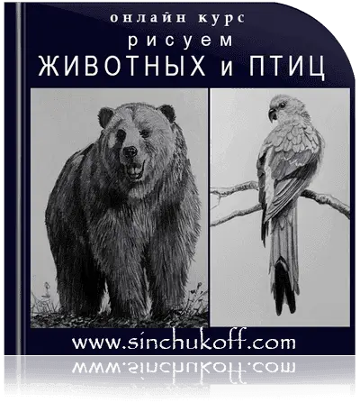 Обложка курса Рисуем животных и птиц Юрия Синчукова