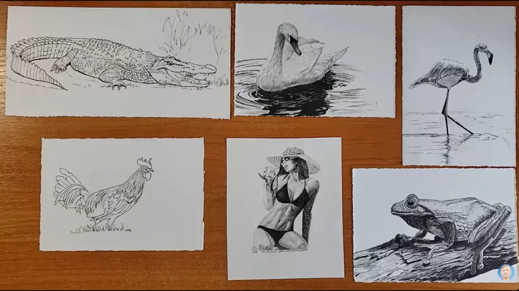 Основы рисунка: с чего начать путь художника