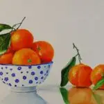 натюрморт с мандаринами акварелью