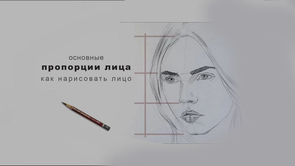 Пропорции лица: Как рисовать живые и правильные портреты
