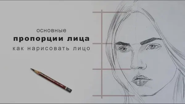 пропорции лица