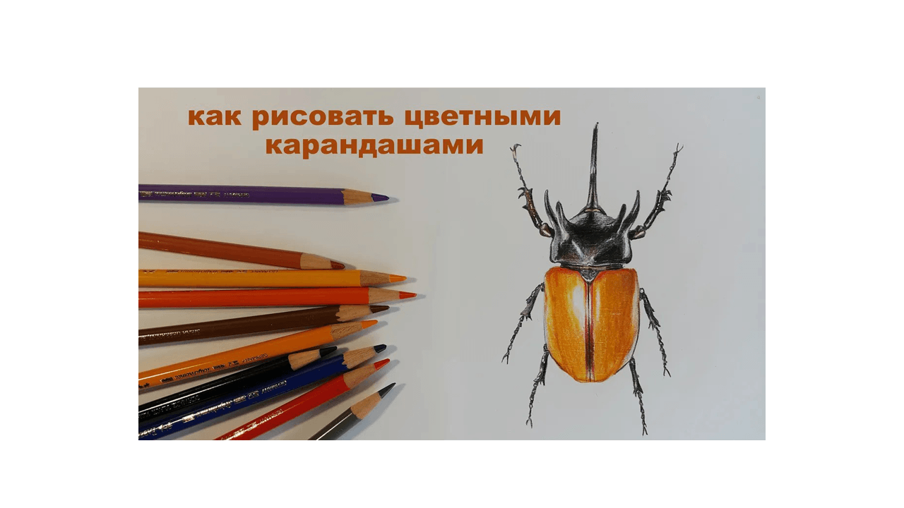 Как рисовать цветными карандашами: Техники на примере жука