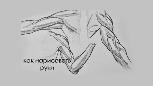 Анатомия мышц руки и основы рисования кисти — Юрий Синчуков.
