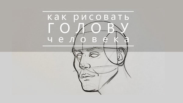 Как рисовать голову по методу Эндрю Лумиса