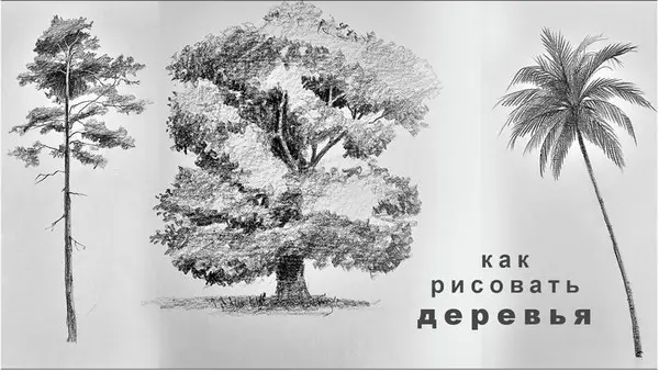 Техники рисования разных видов деревьев карандашом — Юрий Синчуков