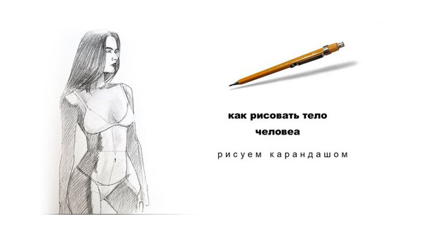 Анатомия и пропорции торса в рисунке человека — Юрий Синчуков.
