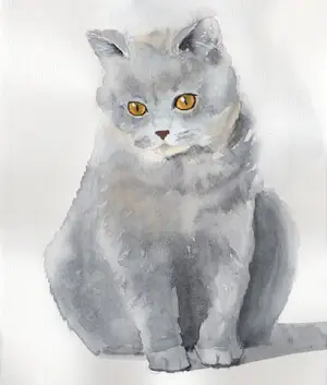 как нарисовать кошку акварельными красками
