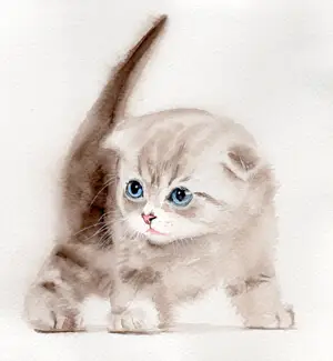рисуем котенка акварелью