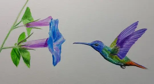 рисунок колибри цветными карандашами