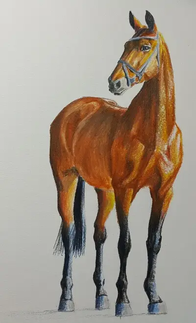 рисунок цветными карандашами лошадь