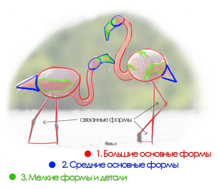 линейный рисунок формы