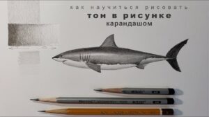 Урок академического рисунка про тон и растяжку тона графитным карандашом