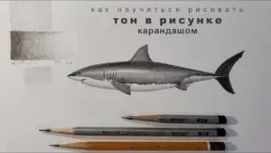 Урок академического рисунка про тон и растяжку тона графитным карандашом