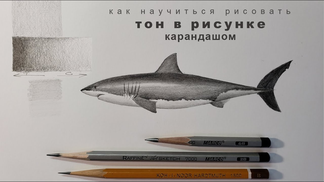 Урок академического рисунка про тон и растяжку тона графитным карандашом