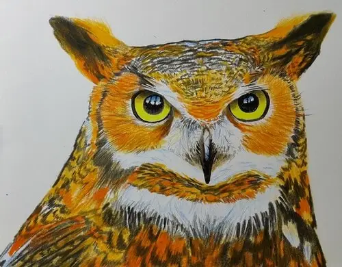 рисунок совы цветными карандашами