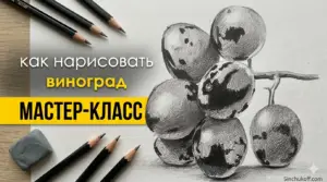 Рисунок грозди винограда графитным карандашом — урок Юрия Синчукова