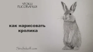 Урок рисования пушистого кролика карандашом — техника Sinchukoff.com