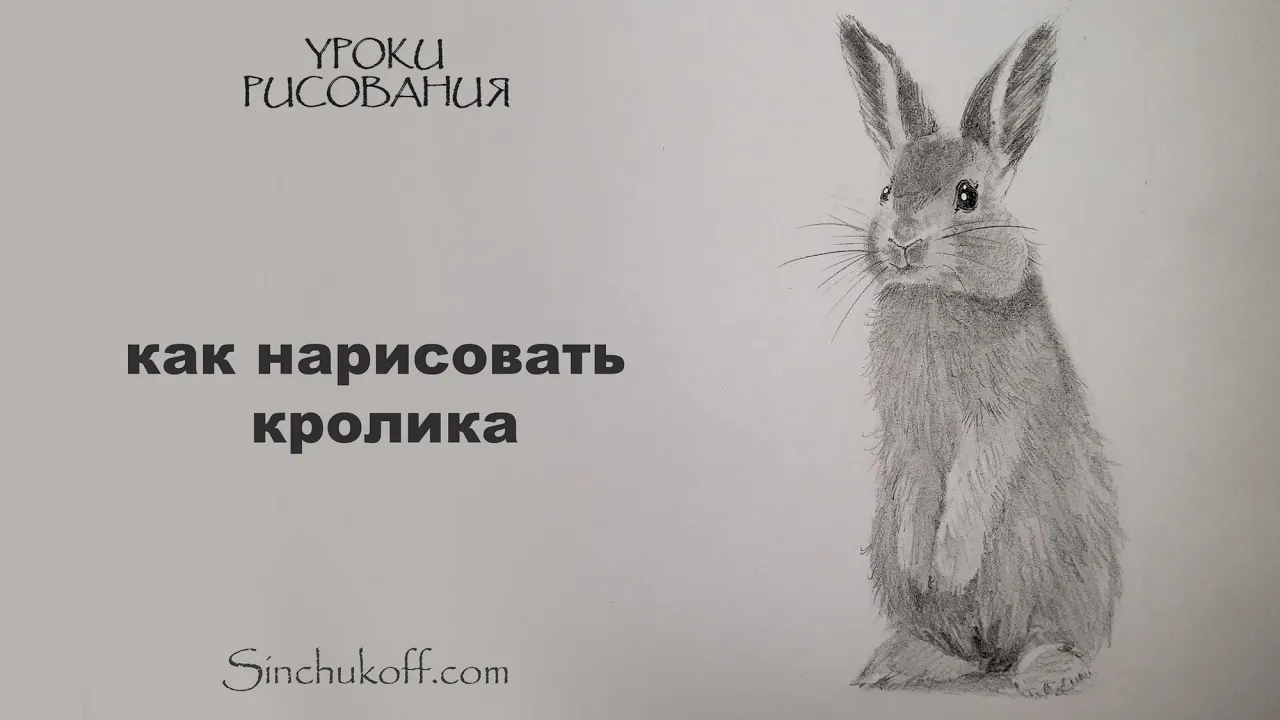 Как нарисовать кролика карандашом: передача мягкости и характера